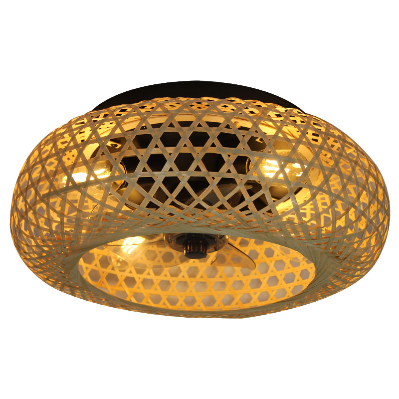 Quels sont les avantages des lampes à fans de plafond de Roard?